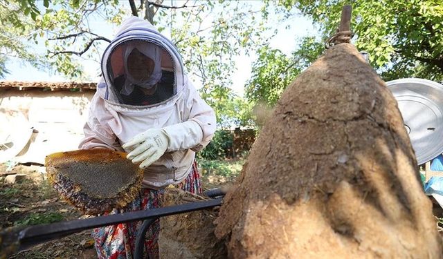 Kırklareli’de 30 yıldır konik sepetlerle organik bal üreten kadın arıcı