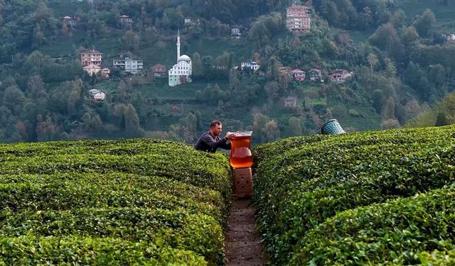 Rize’de dev çay bardağıyla yapılan çekim olay oldu: İzleyenler yapay zeka sandı