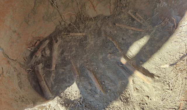 Su borusu kazısında M.Ö. 1500 yılına ait insan kemikleri bulundu