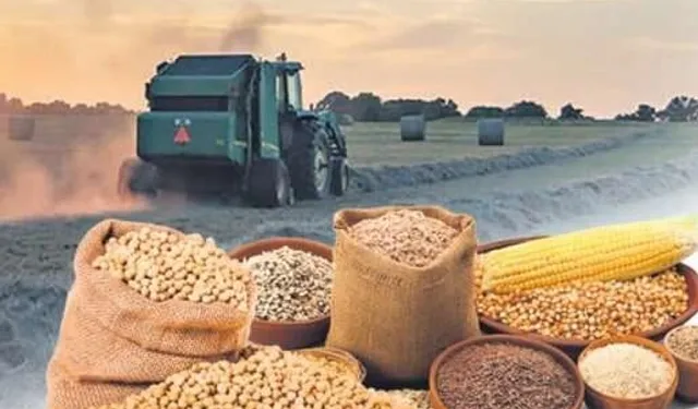 Gıda Fiyatlarına Müdahale: Tarife Kontenjanları Güncellendi