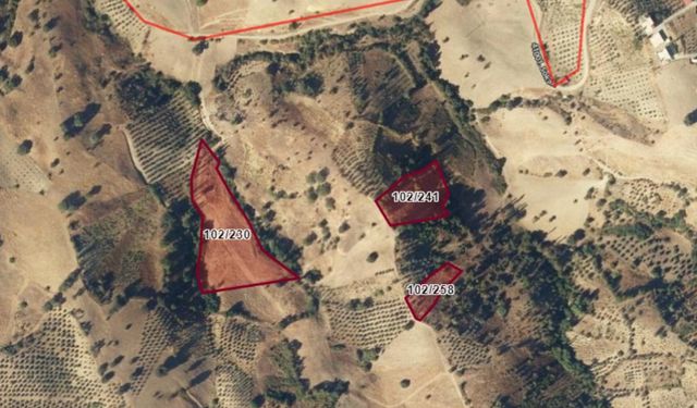 Kahramanmaraş Onikişubat’ta 1.509 m² bağ icradan satışa çıkarıldı