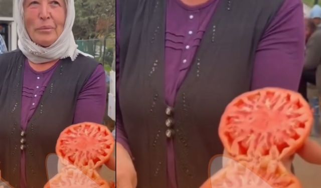Kahramanmaraşlı Kadının Domatesi Pazarda Olay Oldu