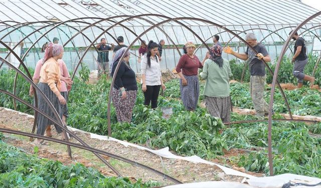 Mersin’de fırtına ve hortum seralara zarar verdi