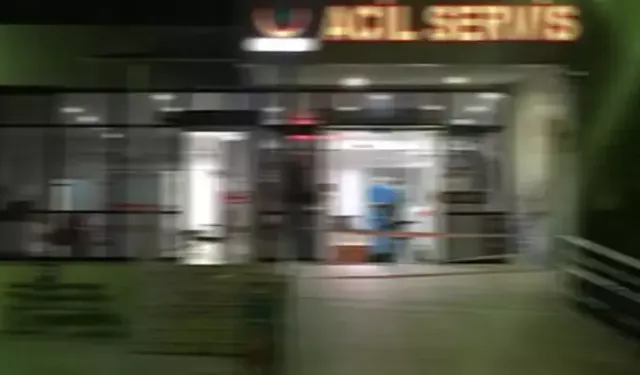 Şakalaşırken babasının tüfeği ile arkadaşını başından vurdu