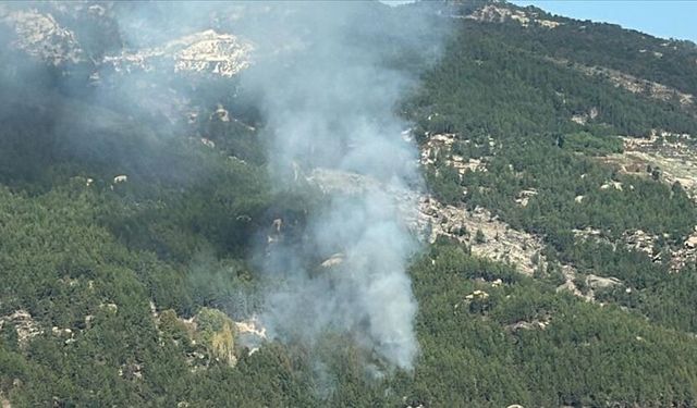 Muğla Kavaklıdere’de Orman Yangını