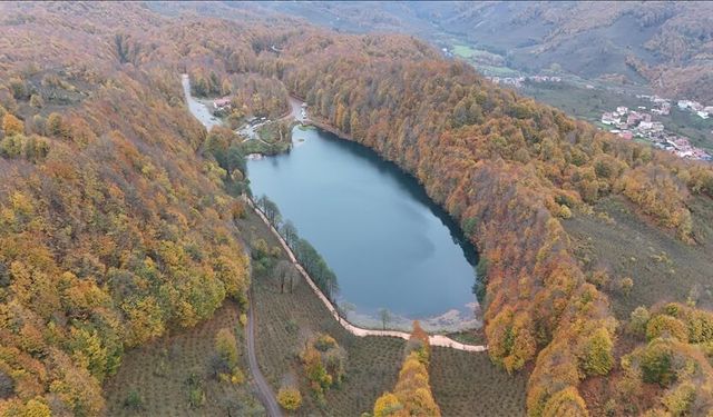 Ordu’nun renk cümbüşü: Ulugöl Tabiat Parkı sonbaharda kartpostalı andırıyor