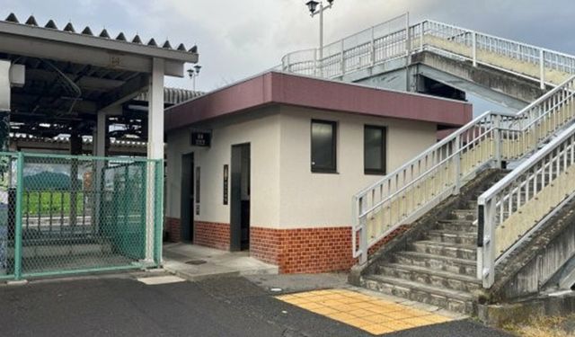 Tehlikeli anlar! Tren istasyonundaki umumi tuvalette ayı saldırısı