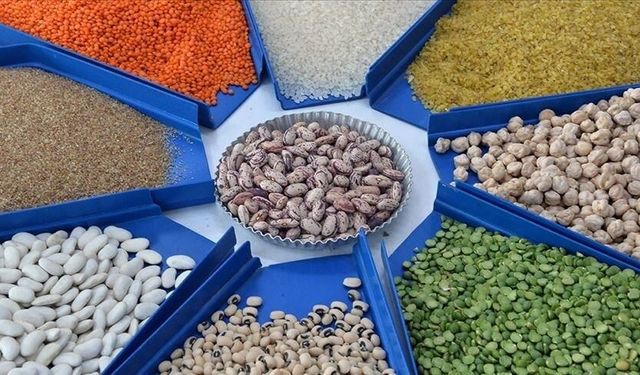 Türkiye’nin hububat ve bakliyat ihracatı 10 ayda 10 milyar dolara dayandı