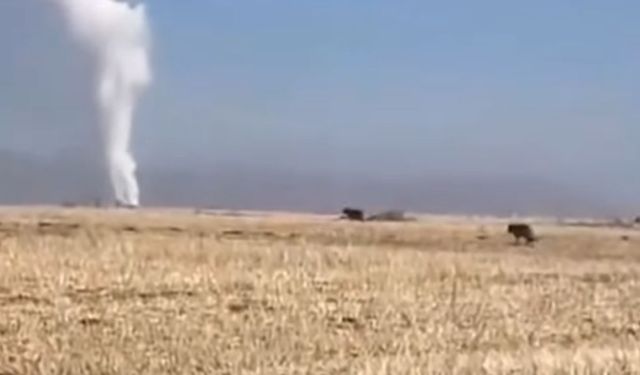 Kahramanmaraş’ta Termik Santral Bölgesinde Kurt Sürüsü Görüntülendi