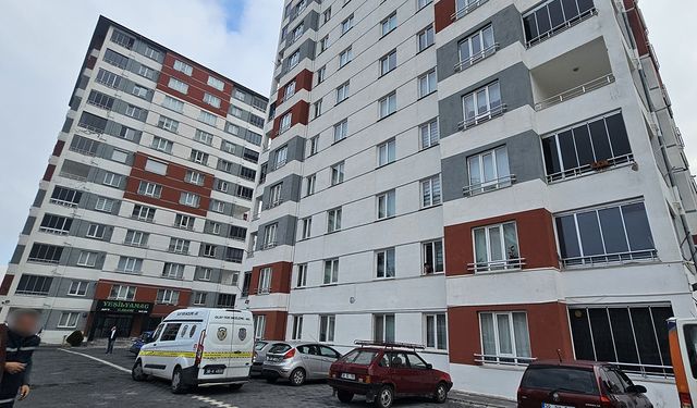 Evi taşınırken tartıştığı nakliyeciyi bıçakladı