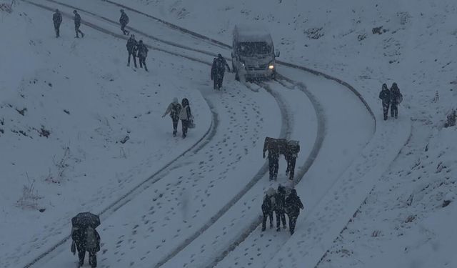 Hakkari Yüksekova yoğun kara teslim oldu