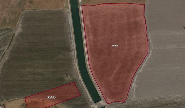 Kahramanmaraş Dulkadiroğlu’nda 37 dönümlük hisseli tarla icradan satışa çıkarıldı