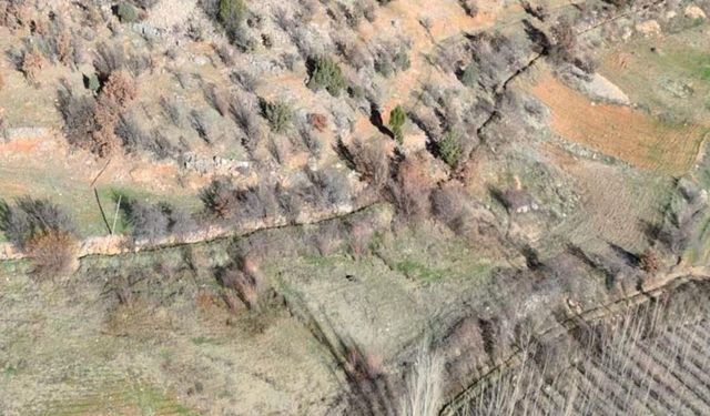 Kahramanmaraş Nurhak’ta yaban domuzu avı yapıldı