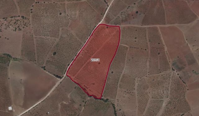 Kahramanmaraş Pazarcık’ta 36 dönüm tarla icradan satışta!