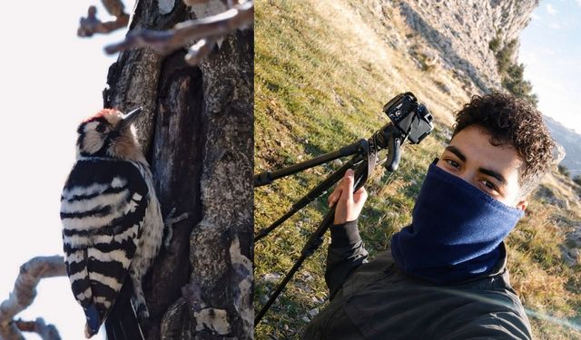 Kahramanmaraşlı genç fotokapanla yaban hayatını görüntülüyor