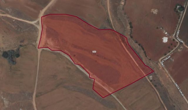 Kahramanmaraş’ta 27 dönüm tarla icradan satılıyor! Fiyat belli oldu