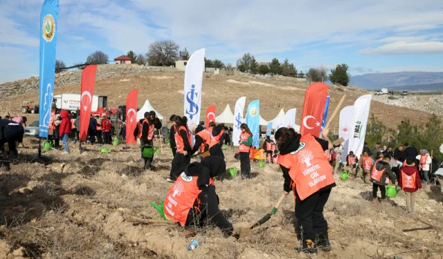 Kahramanmaraş’ta 30 bin fidan toprakla buluştu