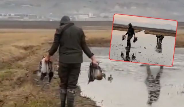 Kahramanmaraş’ta kaçak avcılar tespit edildi! 5 avcıya cezai işlem