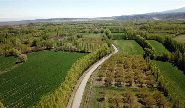 Kahramanmaraş’ta Tapusuz Yer Kalmayacak: 2B Arazileri İçin Tarih Açıklandı
