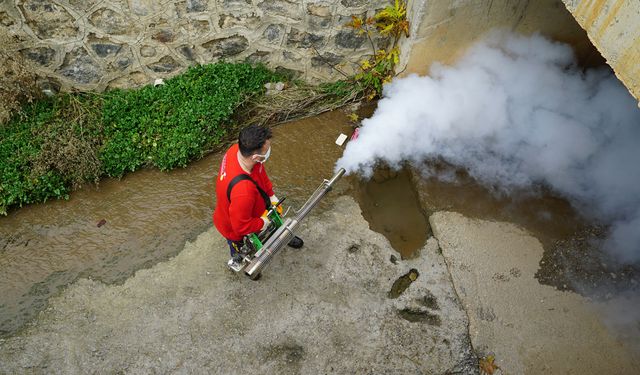 Kahramanmaraş'ta vektör zararlılara karşı kışlak ilaçlamaya başlandı