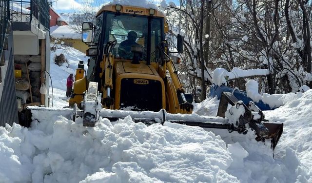 Devletten beklemedi, kardan kapanan köy yollarını kendi açtı