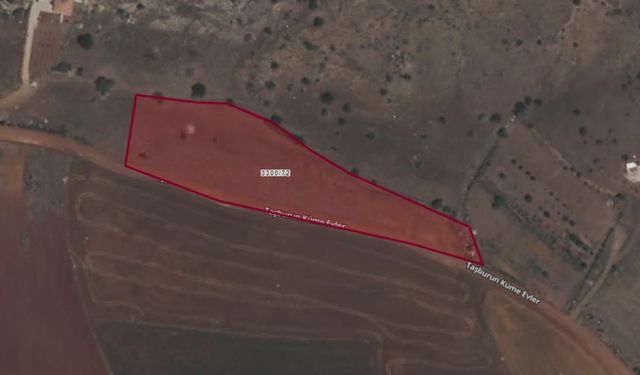 Elbistan’da 9 bin 690 metrekare tarım arazisi icradan satışa çıkarıldı