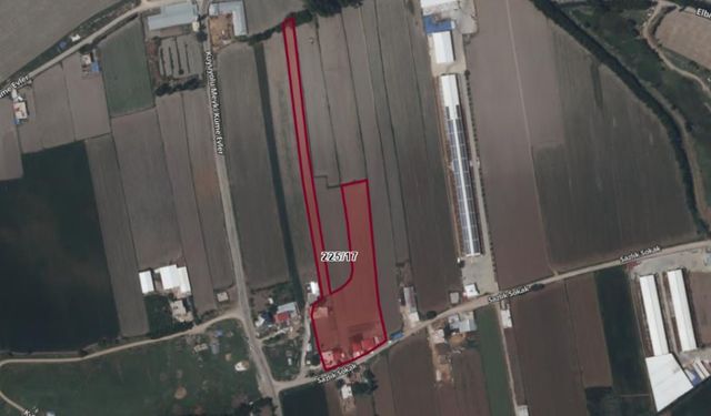 Elbistan’da icradan satılık tarla! Tarla, ev ve müştemilat bir arada