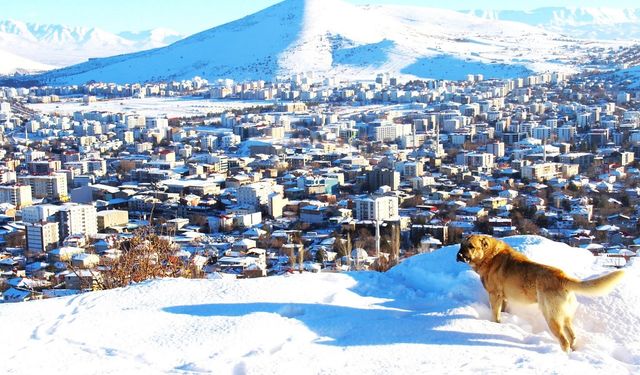 Kahramanmaraş Afşin’de kar sonrası kartpostallık görüntüler