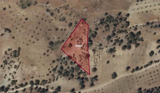 Kahramanmaraş Dulkadiroğlu’nda 4.303 metrekare tarla icradan satılıyor