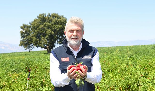 Kahramanmaraş’ta 2025’te çiftçiye 100 milyon TL destek