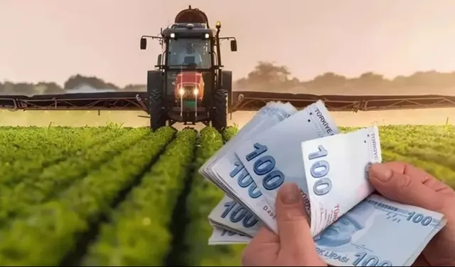 Kahramanmaraş'ta çiftçilere tarımsal destek ödemesi yapılacak