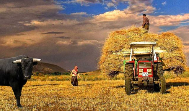 Kahramanmaraş’ta Hayvancılık ve Gıda Sektörüne 452 Milyon TL Hibe Desteği