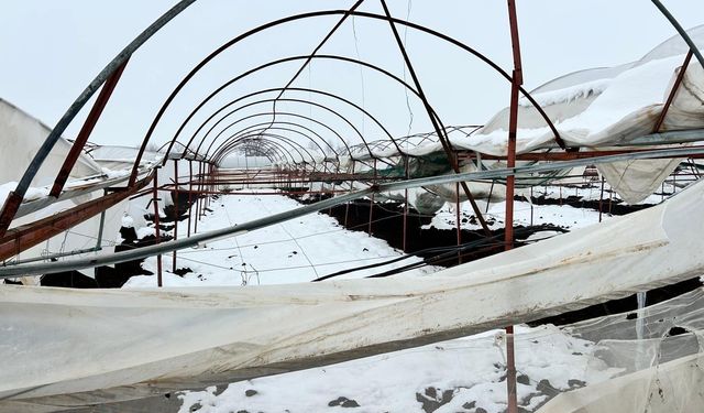 Kahramanmaraş'ta kar birikintisine dayanamayan seralar çöktü
