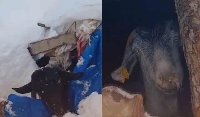 Kahramanmaraş’ta karla mücadele eden besicilerin zorlu mesaisi kamerada