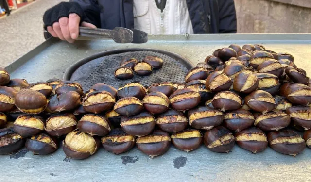Kahramanmaraş’ta Kestane Sezonu Açıldı