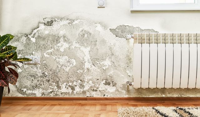 Kahramanmaraş'ta küf ve nem tehlikesi: Uzmandan önemli uyarılar