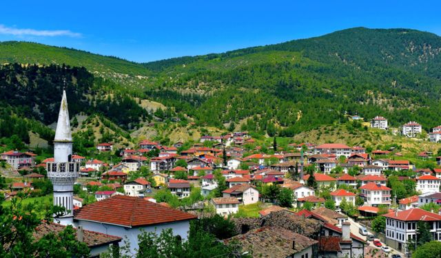 2050’de dünya nüfusunun yüzde 21’inin 60 yaş üstü olacağı tahmin ediliyor