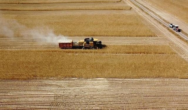 Kahramanmaraşlı çiftçiler için kritik süre: Son gün 15 Nisan