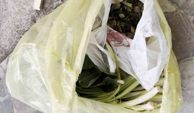 Doktor çiftin zor anları! Pazı olarak aldıkları ot, tirşik otu çıktı