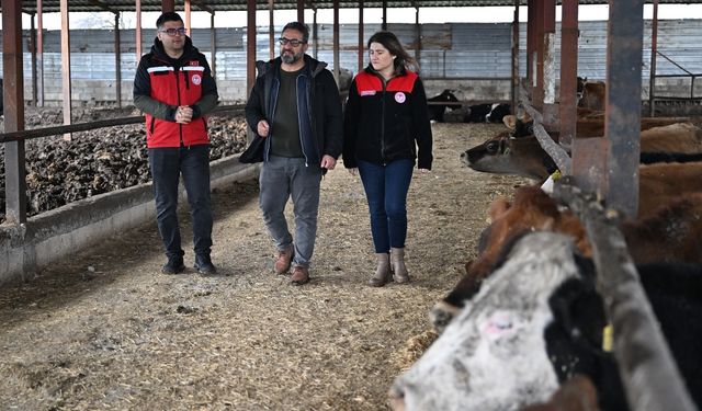 Kahramanmaraşlı depremzede besici, devlet desteğiyle üretime döndü