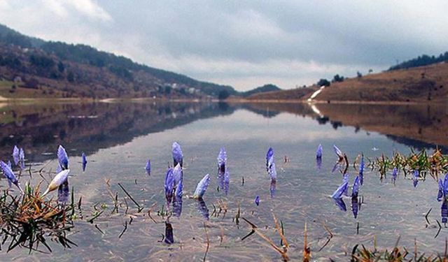 Kahramanmaraşlılara Bahar Müjdesi: Cemre Suya Düştü
