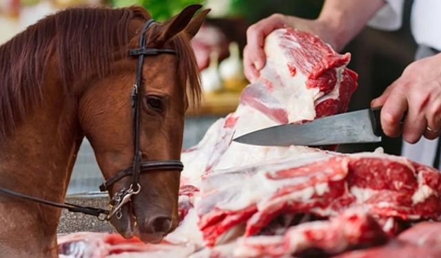 Kahramanmaraş’ta da Şubesi Bulunan Zincir Marketin Dönerinde At ve Eşek Eti Çıktı