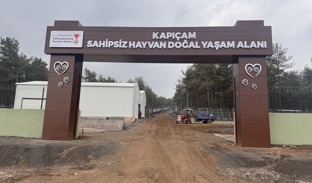 Kahramanmaraş’ta Kapıçam Sokak Hayvanları Merkezi Yenilendi