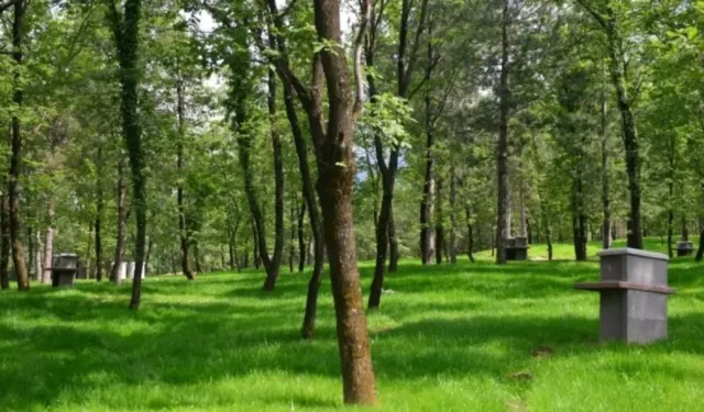Kahramanmaraş'ta Orman 20 yıllığına kiraya veriliyor! İhale tarihi belli oldu