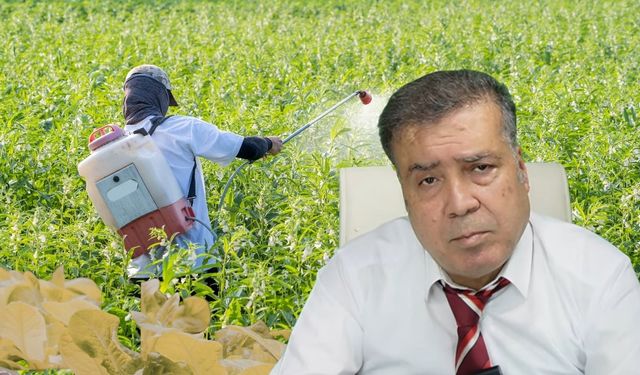 Kahramanmaraş’ta pestisit uyarısı: Zehir soframıza kadar geliyor