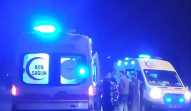 Kayganlaşan yolda 3 araç şarampole devrildi: 9 yaralı