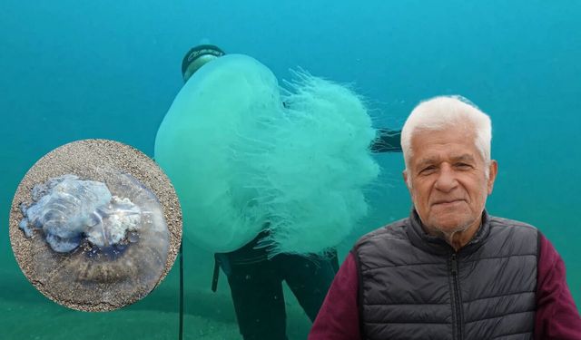 Antalya Körfezi’nde dev denizanası yoğunluğu balıkçıların ağları doldu