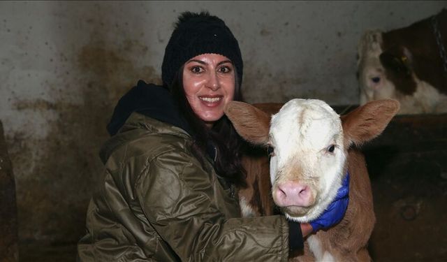 Devlet desteğiyle besi çiftliği kuran girişimci kadın hayvan sayısını artırmayı hedefliyor