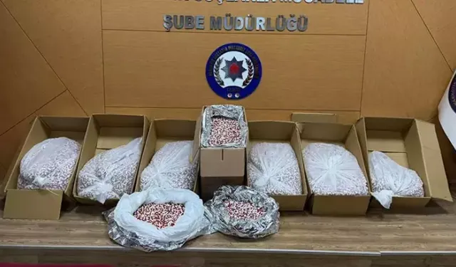 İzmir'de 356 bin sentetik ecza hap ele geçirildi; 3 tutuklama