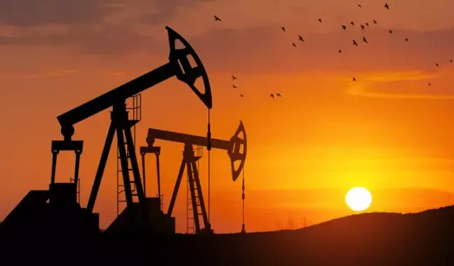 Japonya devlet petrol rezervlerini kullanıma açıyor